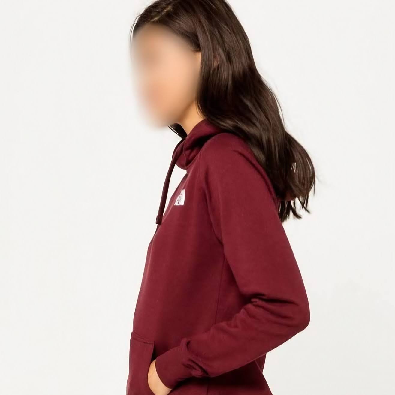TNF Maroon Hoodie