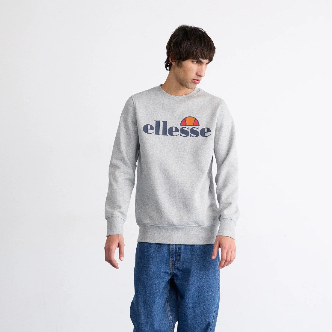 Ellese Grey Sweatshirt