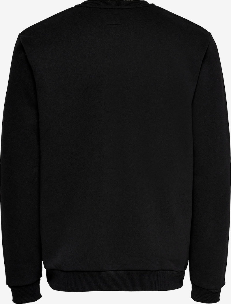 Porsh design sweatshirt