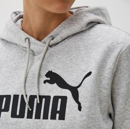 PMA Grey Hoodie
